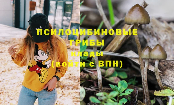 ешки Вяземский