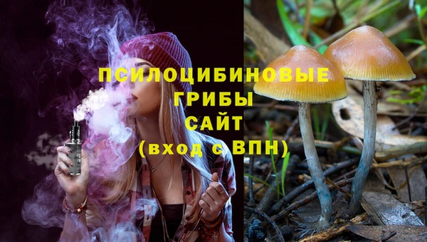 стафф Горно-Алтайск