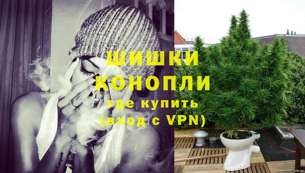 стафф Горно-Алтайск