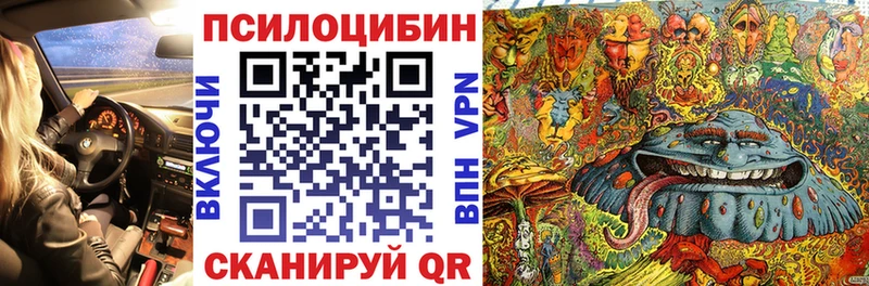 Псилоцибиновые грибы Psilocybine cubensis  Мценск 